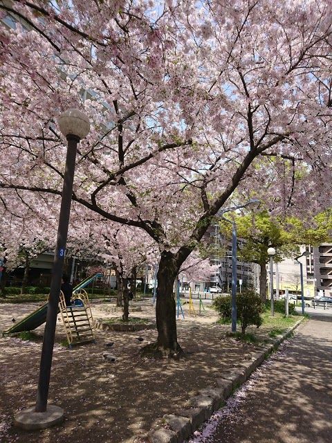 Naniwa Park